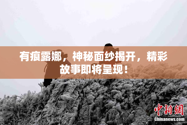 有痕露娜，神秘面纱揭开，精彩故事即将呈现！