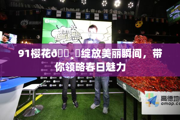 91樱花🌸‌绽放美丽瞬间，带你领略春日魅力