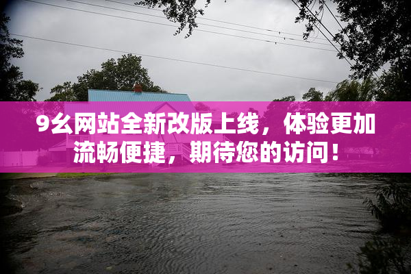 9幺网站全新改版上线，体验更加流畅便捷，期待您的访问！
