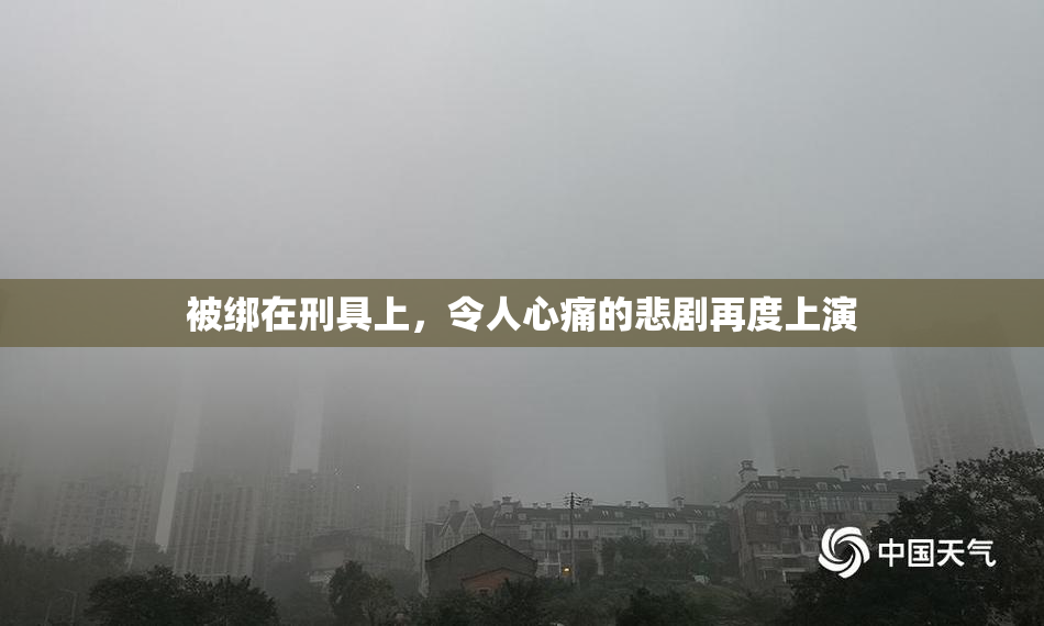被绑在刑具上，令人心痛的悲剧再度上演