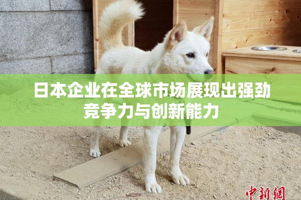 日本企业在全球市场展现出强劲竞争力与创新能力