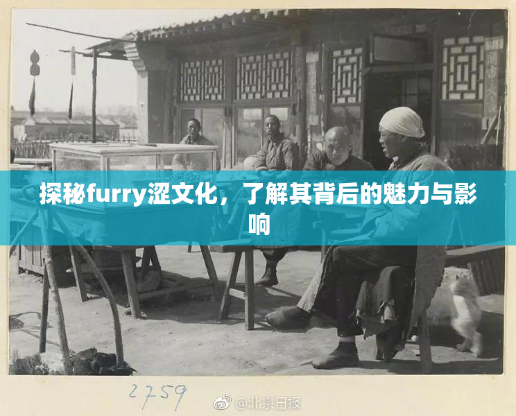 探秘furry涩文化，了解其背后的魅力与影响