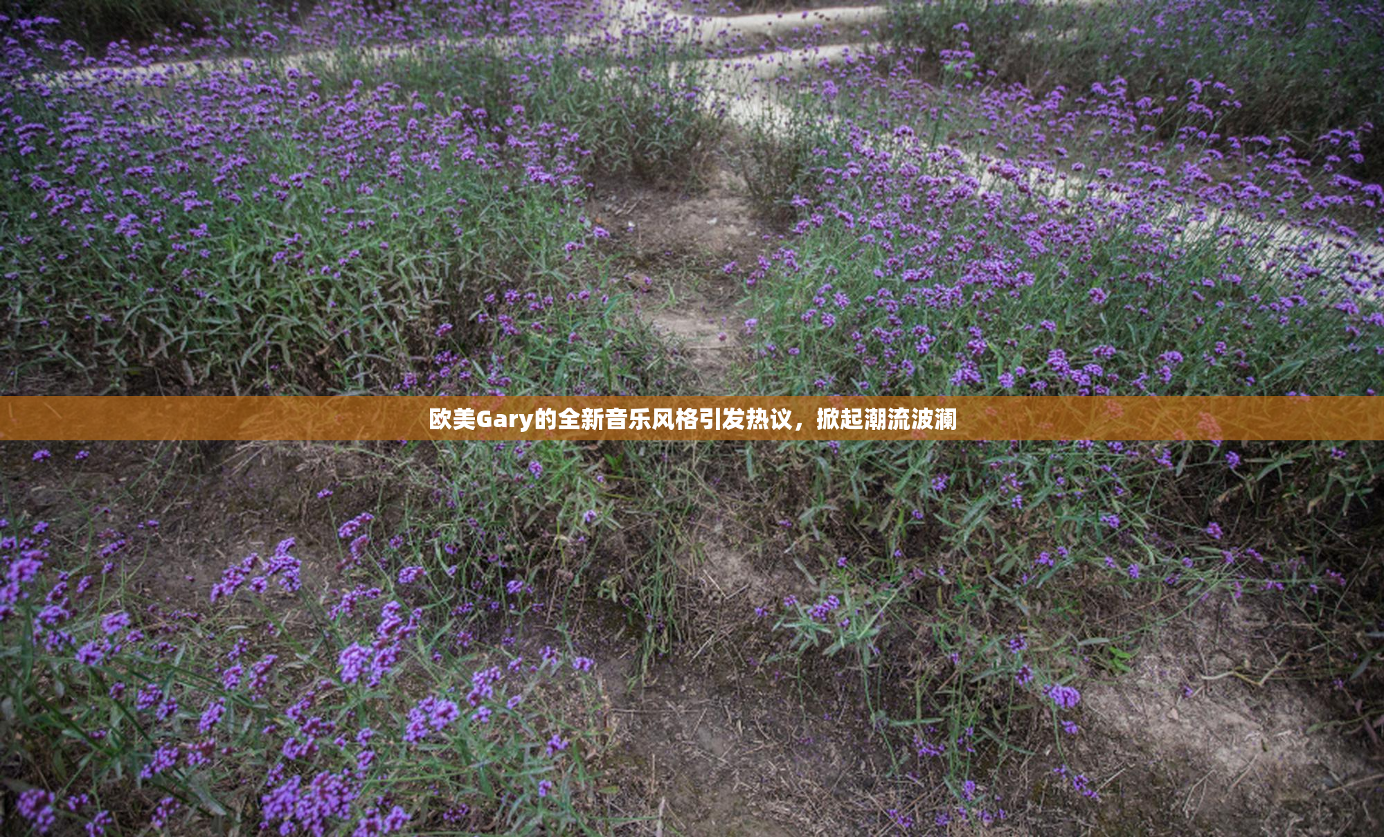 欧美Gary的全新音乐风格引发热议，掀起潮流波澜