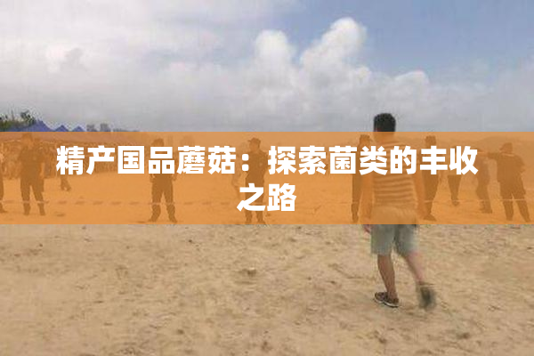 精产国品蘑菇：探索菌类的丰收之路