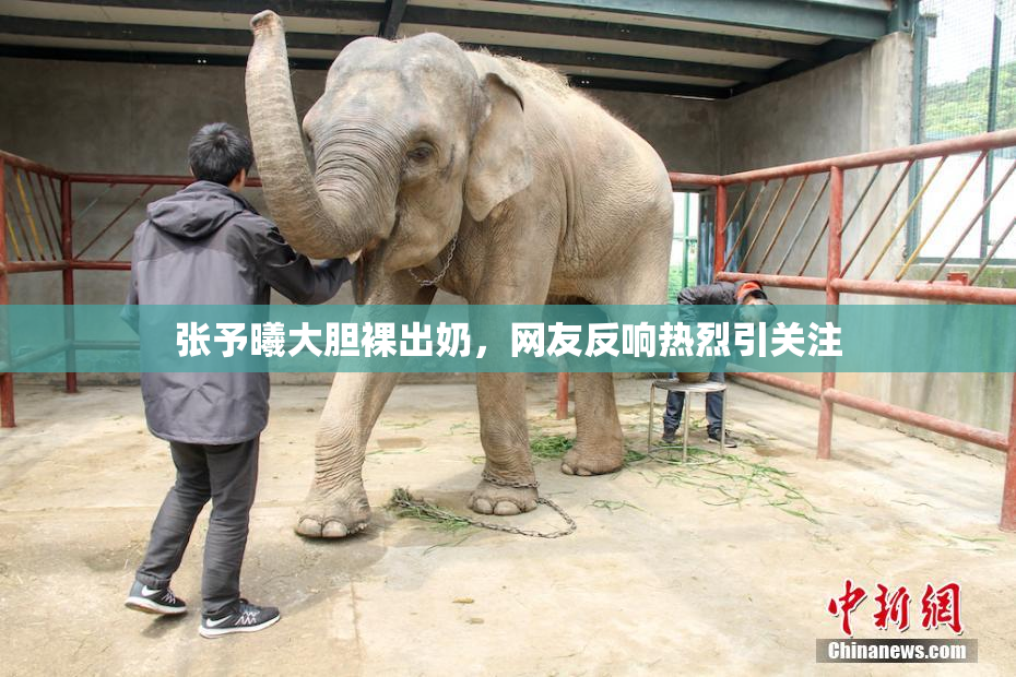 张予曦大胆裸出奶，网友反响热烈引关注