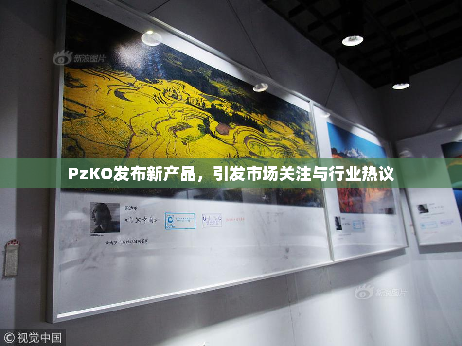 PzKO发布新产品，引发市场关注与行业热议