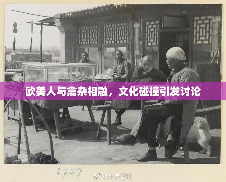欧美人与禽杂相融，文化碰撞引发讨论
