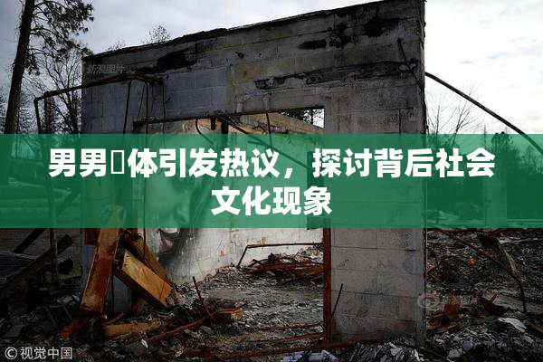 男男祼体引发热议，探讨背后社会文化现象