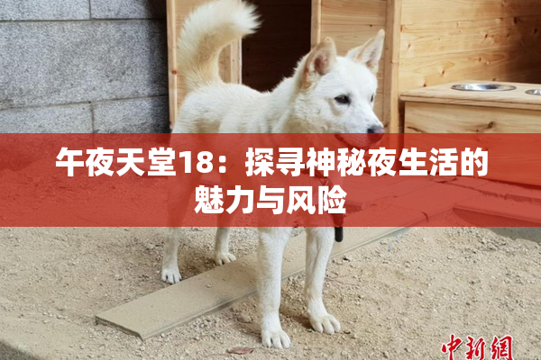 午夜天堂18：探寻神秘夜生活的魅力与风险