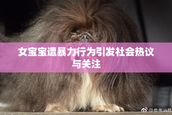 女宝宝遭暴力行为引发社会热议与关注