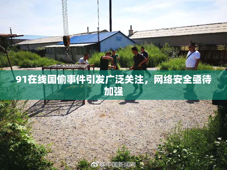 91在线国偷事件引发广泛关注，网络安全亟待加强