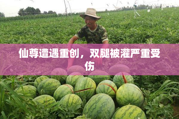 仙尊遭遇重创，双腿被灌严重受伤