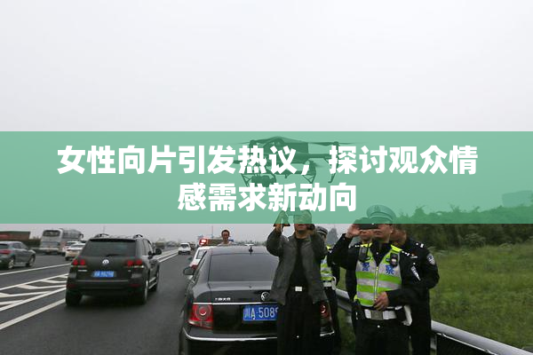 女性向片引发热议，探讨观众情感需求新动向