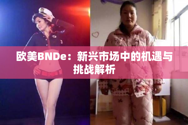 欧美BNDe：新兴市场中的机遇与挑战解析