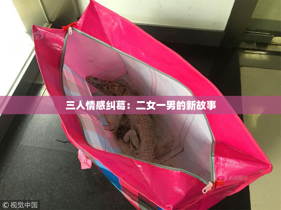 三人情感纠葛：二女一男的新故事