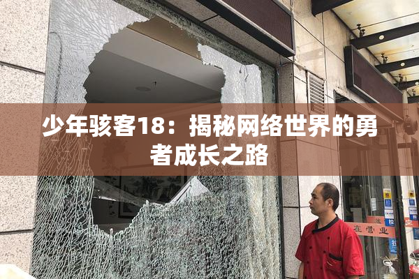 少年骇客18：揭秘网络世界的勇者成长之路