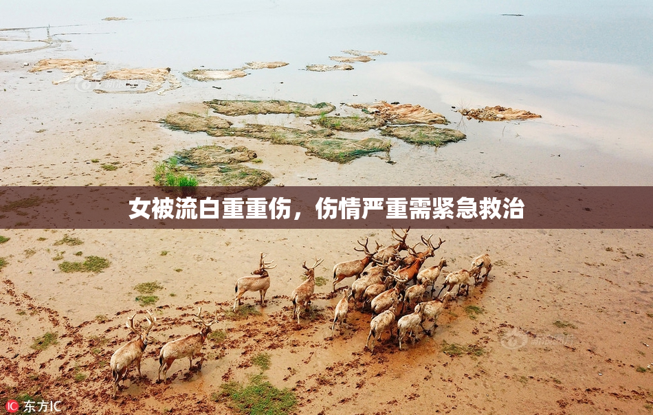 女被流白重重伤，伤情严重需紧急救治