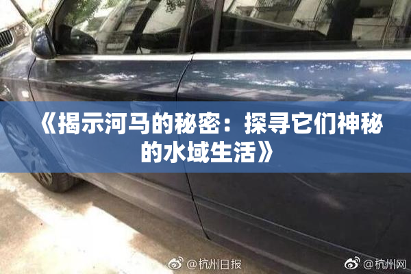 《揭示河马的秘密：探寻它们神秘的水域生活》