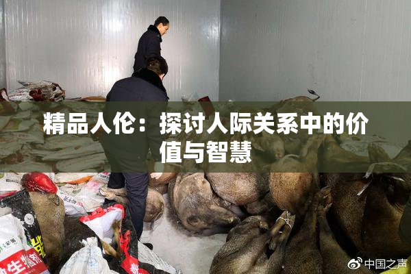 精品人伦：探讨人际关系中的价值与智慧