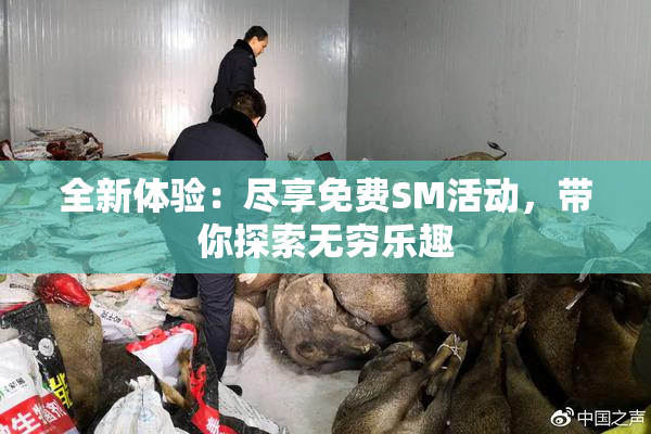 全新体验：尽享免费SM活动，带你探索无穷乐趣