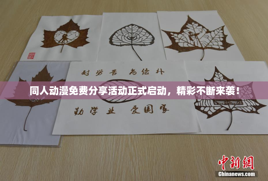 同人动漫免费分享活动正式启动，精彩不断来袭！