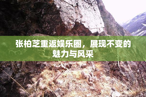 张柏芝重返娱乐圈，展现不变的魅力与风采