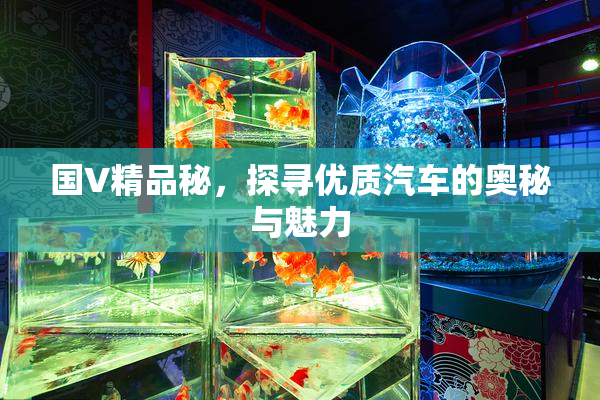 国V精品秘，探寻优质汽车的奥秘与魅力