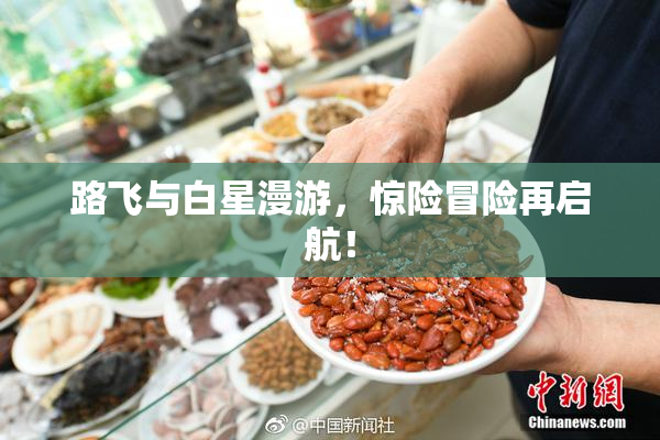 路飞与白星漫游，惊险冒险再启航！