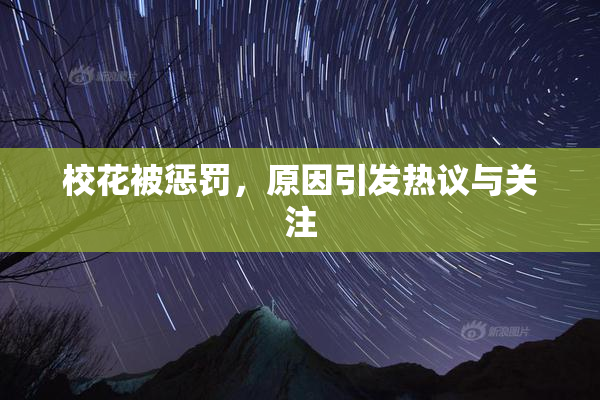 校花被惩罚，原因引发热议与关注