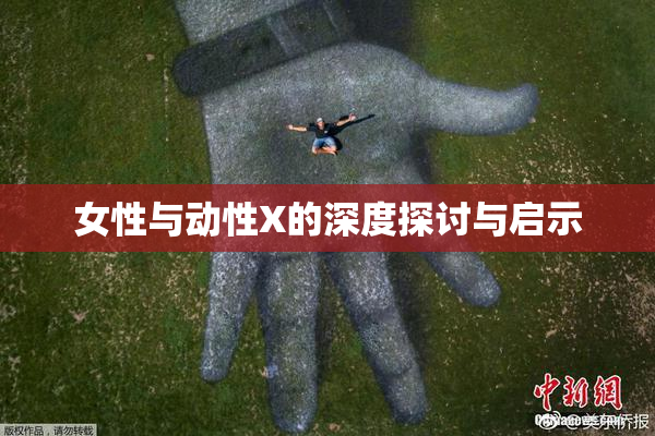 女性与动性X的深度探讨与启示