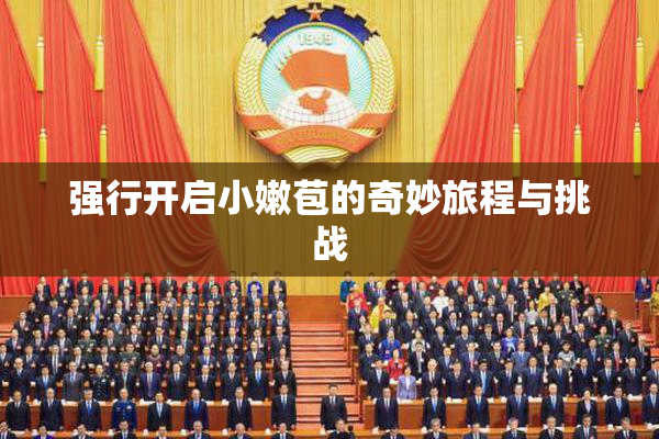 强行开启小嫩苞的奇妙旅程与挑战