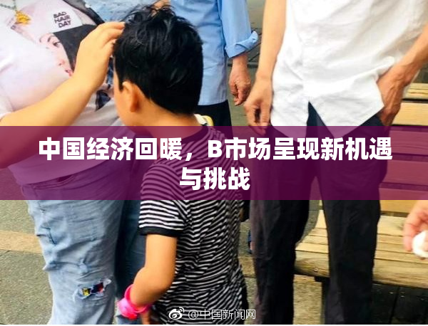 中国经济回暖，B市场呈现新机遇与挑战