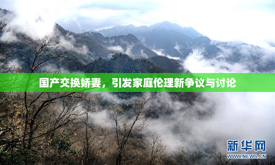 国产交换娇妻，引发家庭伦理新争议与讨论