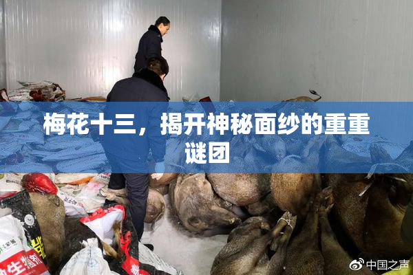 梅花十三，揭开神秘面纱的重重谜团