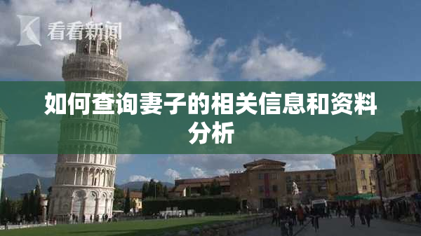 如何查询妻子的相关信息和资料分析