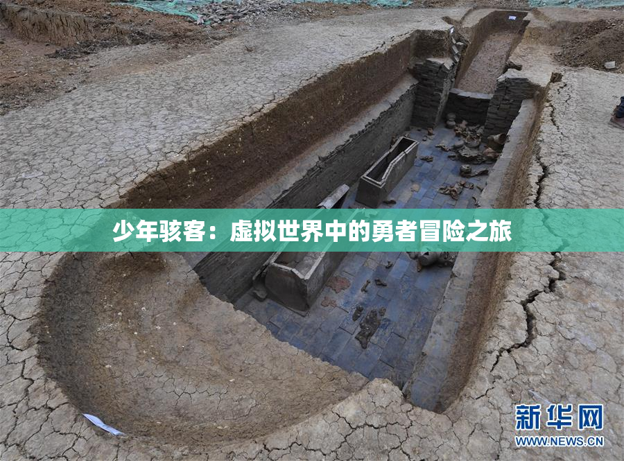 少年骇客：虚拟世界中的勇者冒险之旅