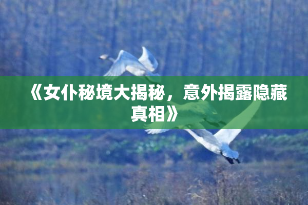 《女仆秘境大揭秘，意外揭露隐藏真相》