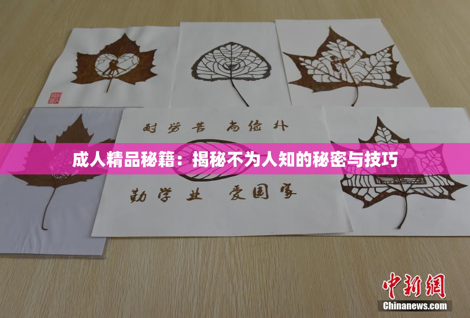 成人精品秘籍：揭秘不为人知的秘密与技巧