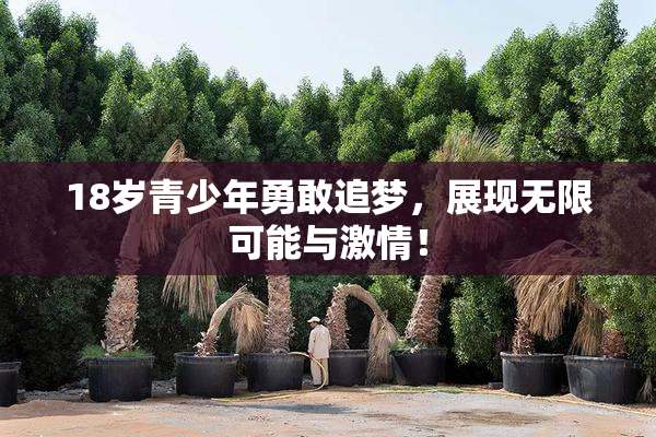18岁青少年勇敢追梦，展现无限可能与激情！