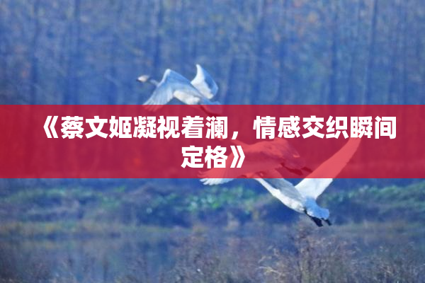 《蔡文姬凝视着澜，情感交织瞬间定格》
