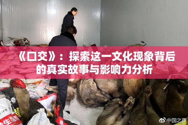 《囗交》：探索这一文化现象背后的真实故事与影响力分析