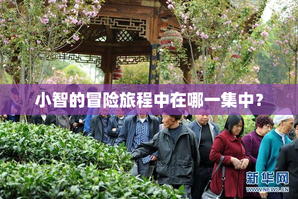 小智的冒险旅程中在哪一集中？