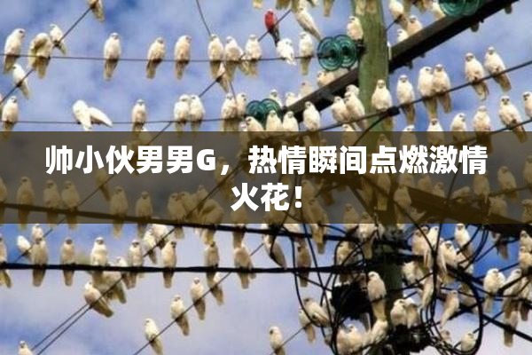 帅小伙男男G，热情瞬间点燃激情火花！