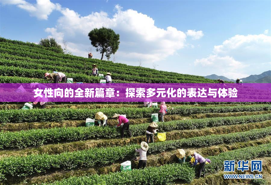 女性向的全新篇章：探索多元化的表达与体验