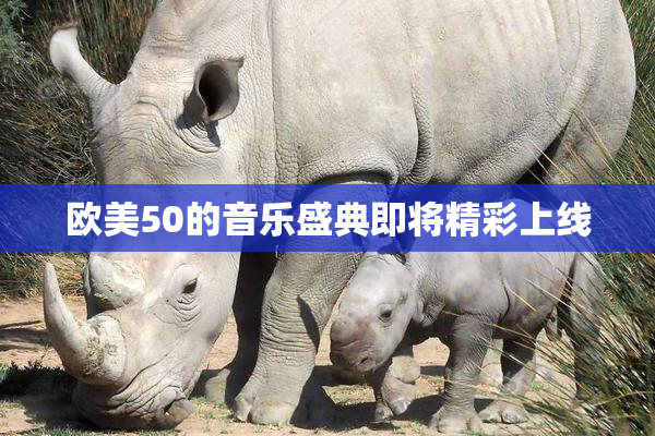 欧美50的音乐盛典即将精彩上线