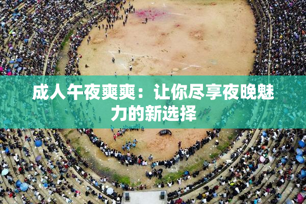 成人午夜爽爽：让你尽享夜晚魅力的新选择