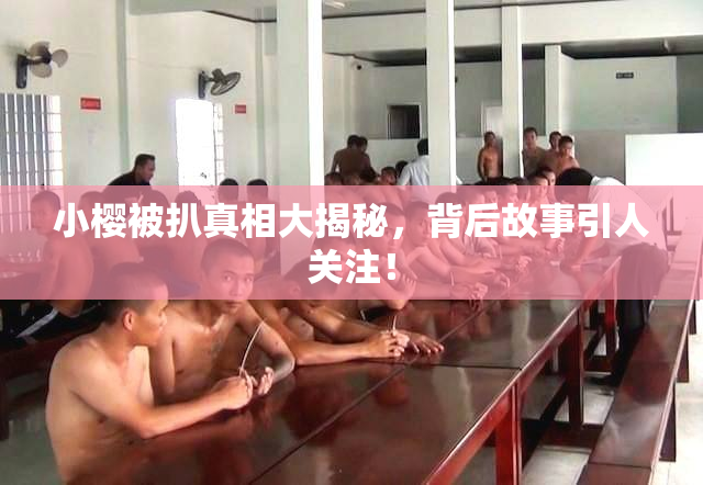 小樱被扒真相大揭秘，背后故事引人关注！