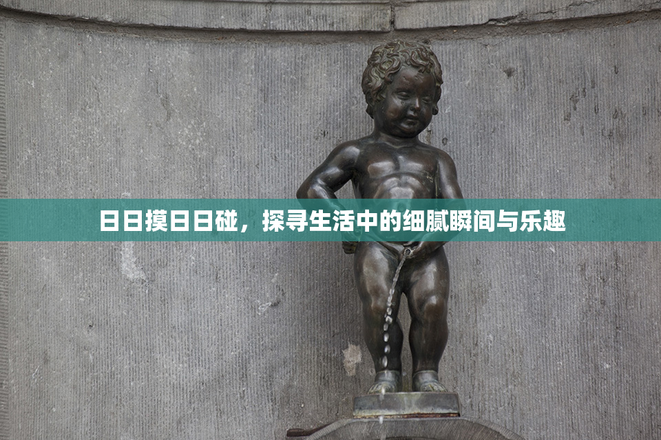 日日摸日日碰，探寻生活中的细腻瞬间与乐趣
