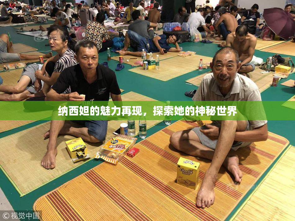 纳西妲的魅力再现，探索她的神秘世界