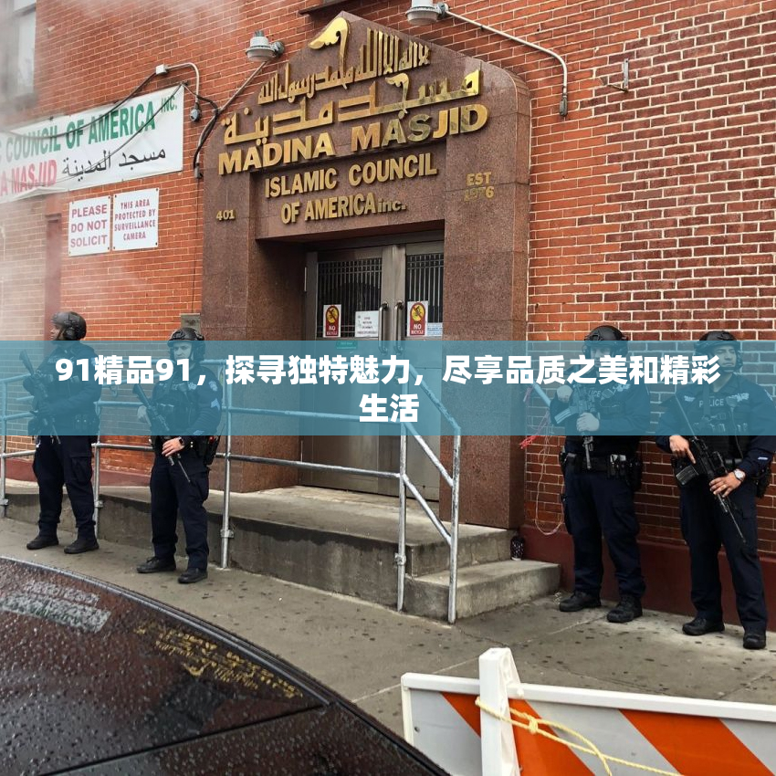 91精品91，探寻独特魅力，尽享品质之美和精彩生活